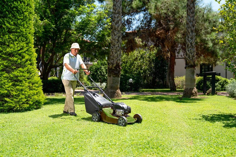 electric mowers review
